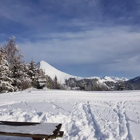 Praz De Lys - Les Pralyssimes 公寓 *