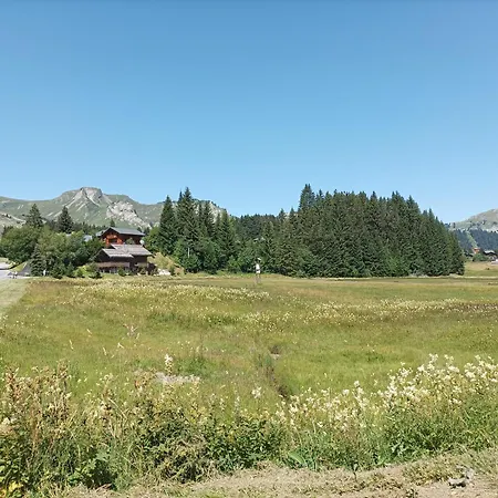 公寓 Praz De Lys - Les Pralyssimes *